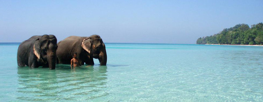 Havelock-Island-at-Andaman