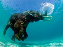 Glimpses of Andaman Tour