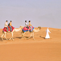 Desert Safari