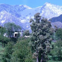 Dharamshala Himachal-Pradesh
