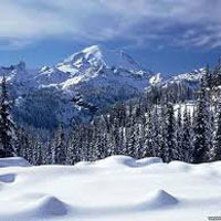 Shimla