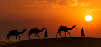 Rajasthan Tour