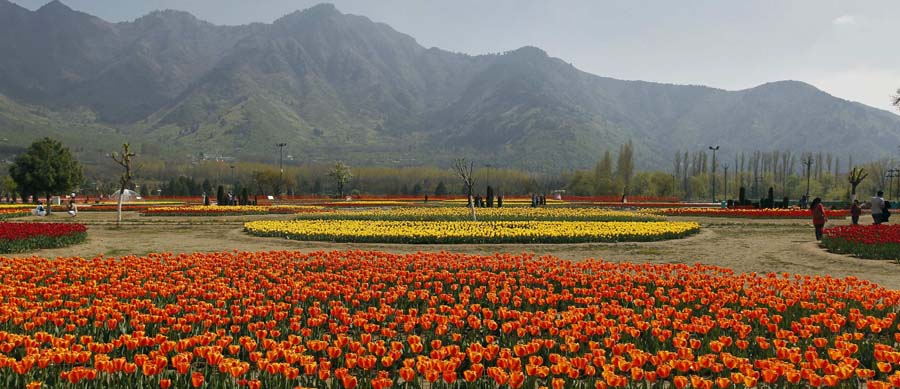 Magical Kashmir Tour 