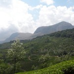 Anaimudi Peak