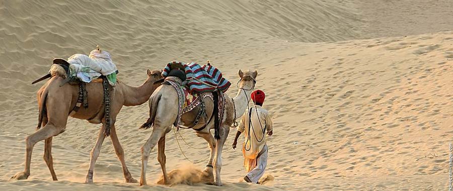 Desert Mystry Tour Package 