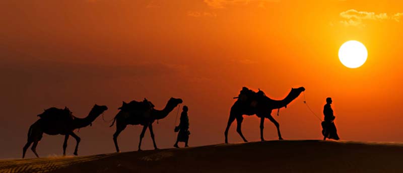 Exotic Rajasthan Tour 