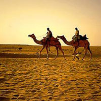 Desert Mystry Tour