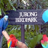 Jurong Bird Park