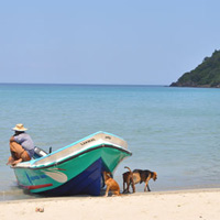 srilankan beach